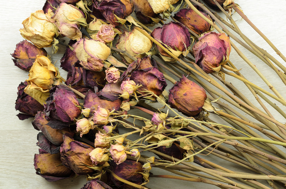 Must have Tips To Revive Wilted Flowers must-have-tips-to-revive-wilted-flowers