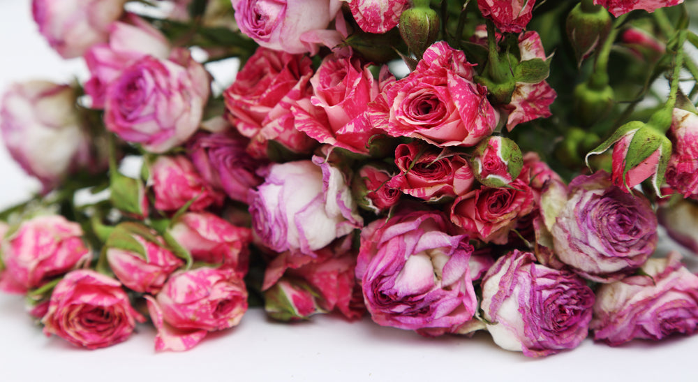 8 Creative Ways to Repurpose Dead Flowers Bloomen