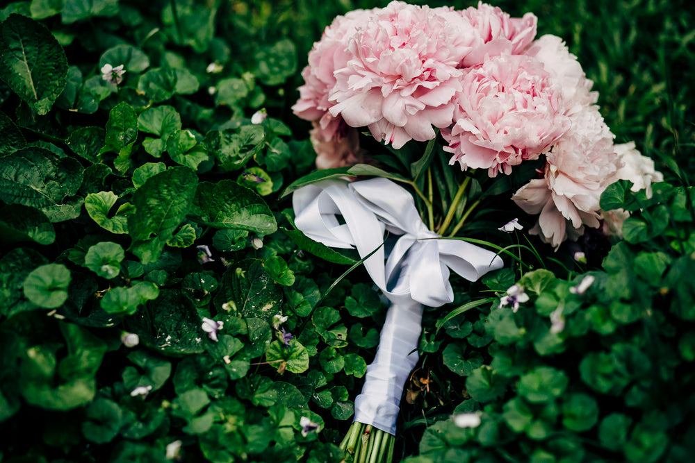 Flowers for Hanukkah Celebration