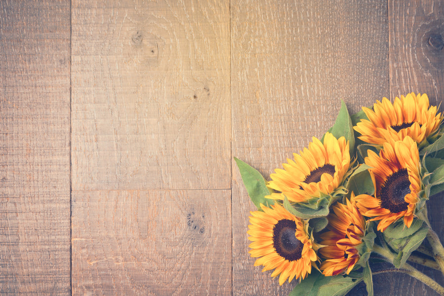 7 Interesting Facts You Probably Don’t Know About Sunflowers