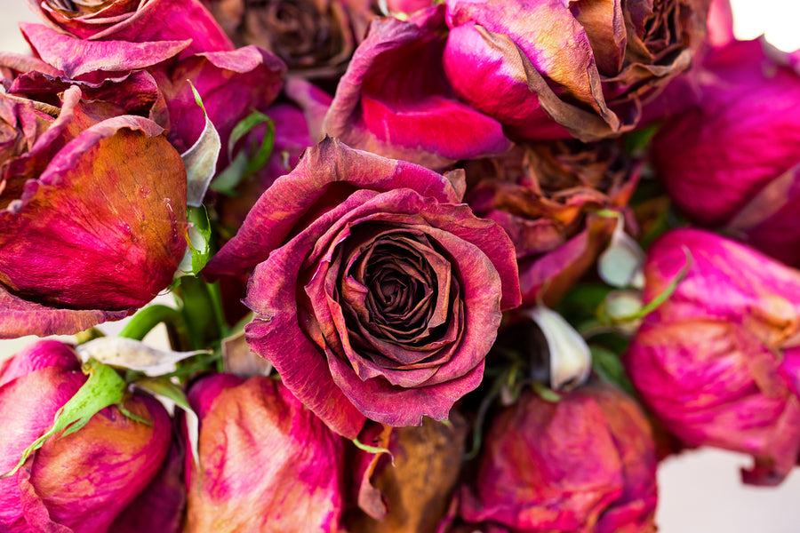 5 Creative Things You Can Do With Dried Roses