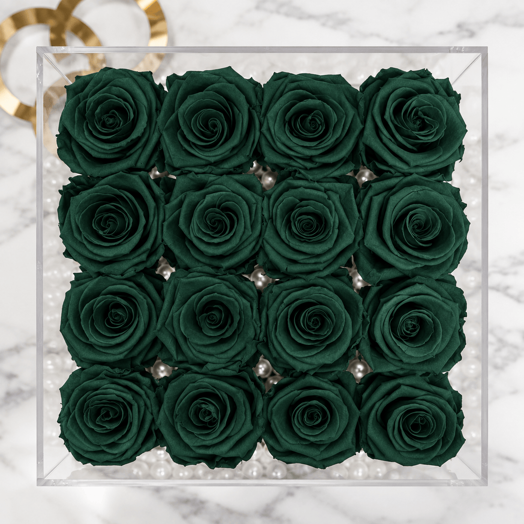 Angled view of sixteen hunter green everlasting roses in a clear Bloomen display box