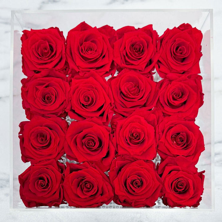 16 RED EVERLASTING ROSES