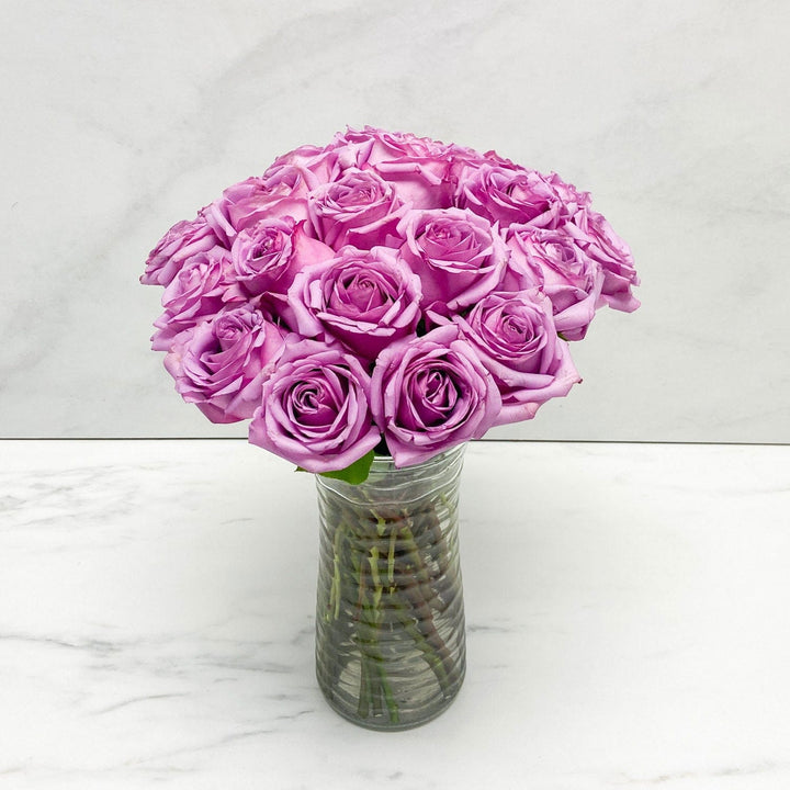 24 LAVENDER ROSES