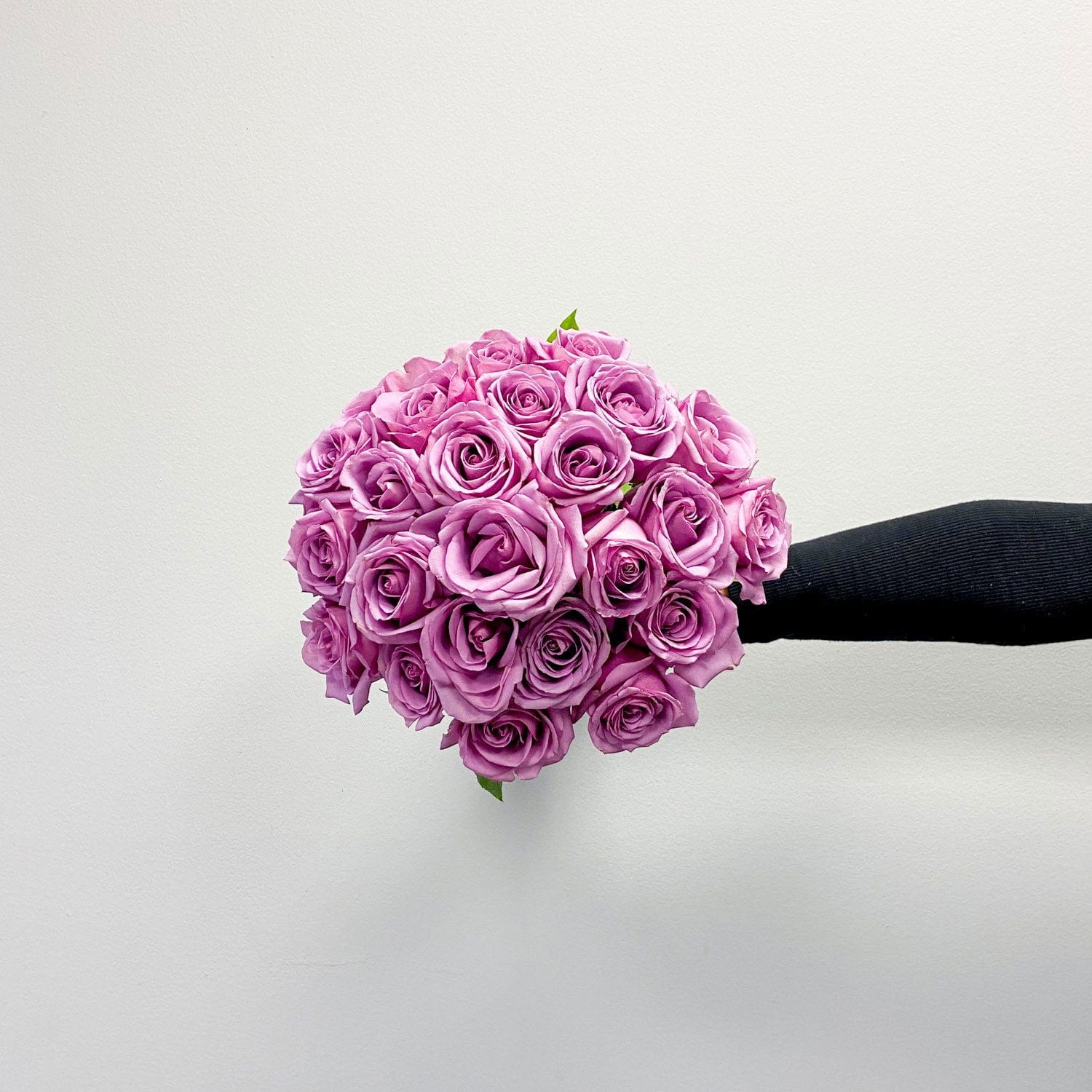 24 Lavender Roses Bouquet Delivery in Toronto| Elegance and