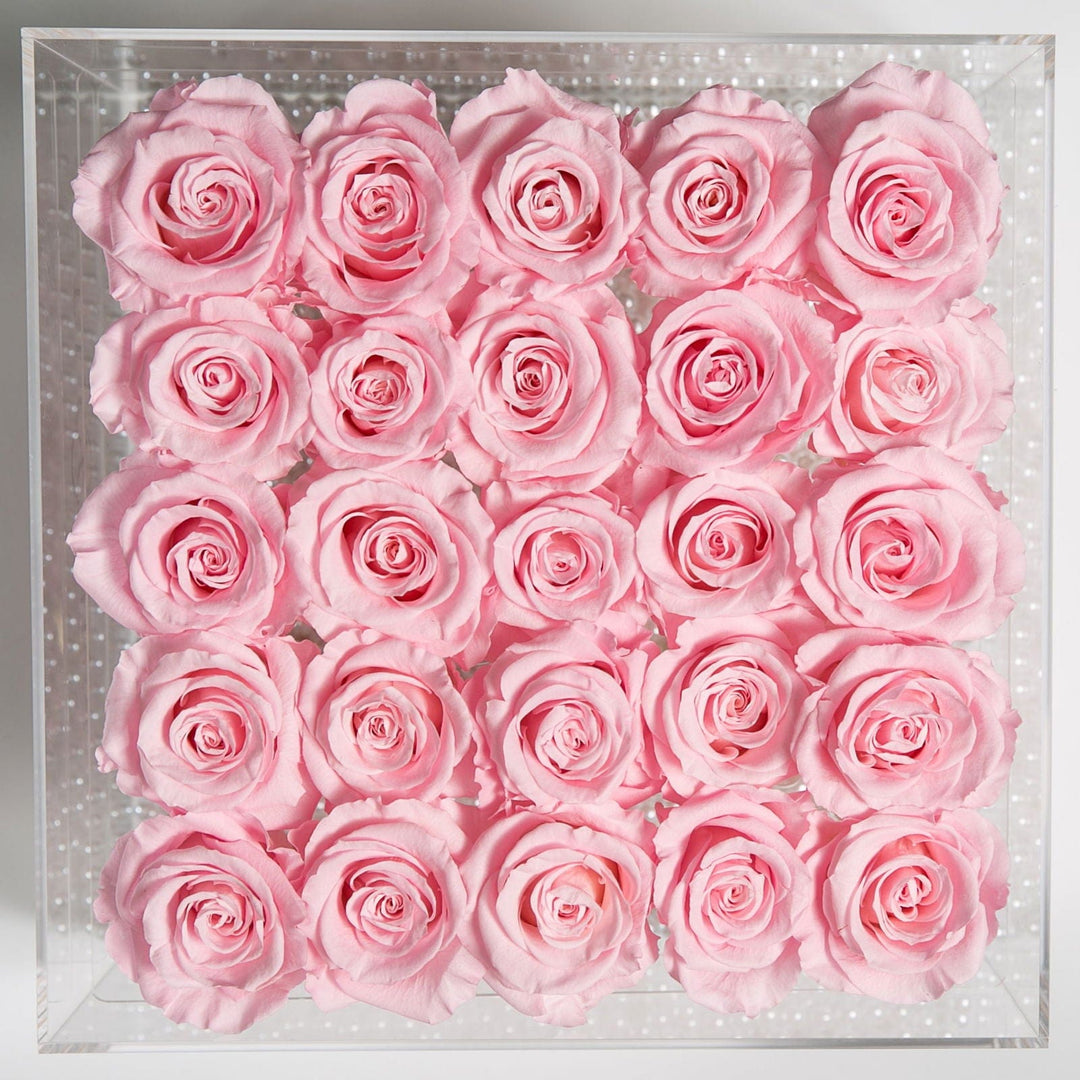 25 PINK EVERLASTING ROSES