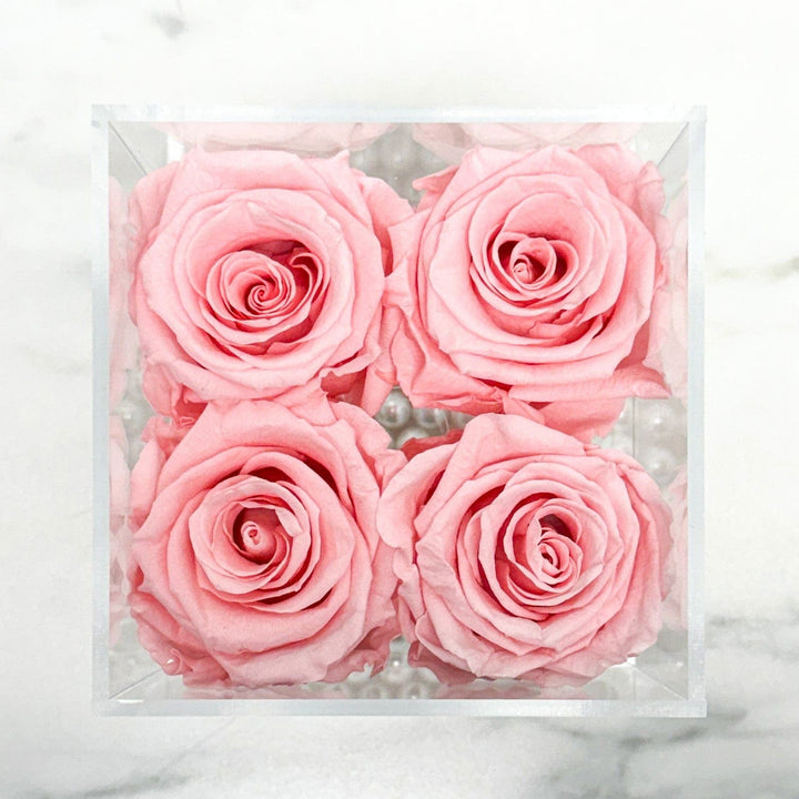 4 PINK EVERLASTING ROSES