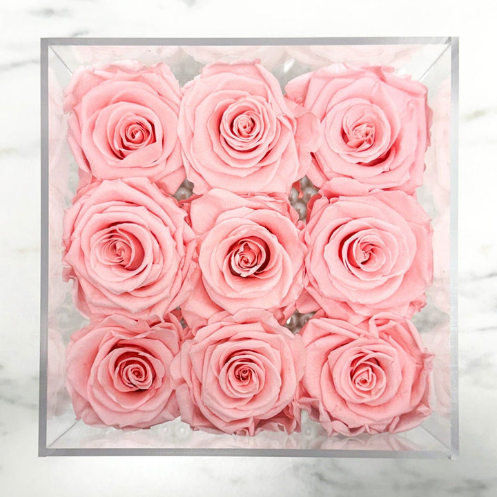 9 PINK EVERLASTING ROSES