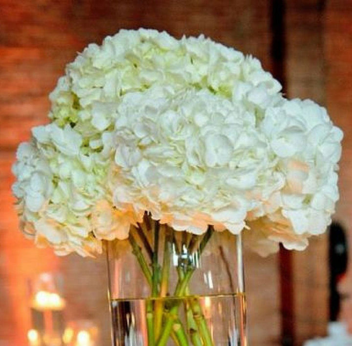 Hydrangea Posy - Centrepieces