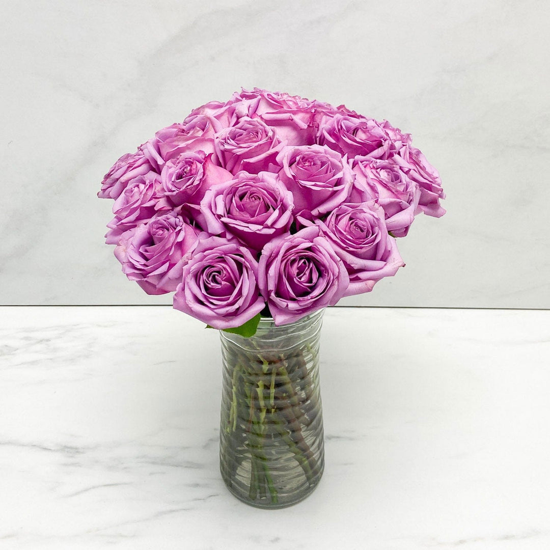 SAME DAY DELIVERY: 24 LAVENDER ROSES