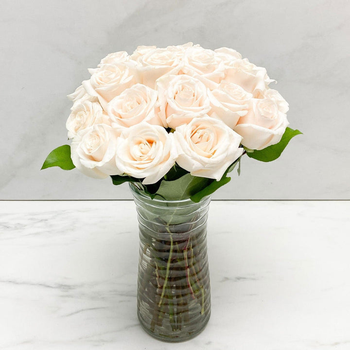 SAME DAY DELIVERY: 24 WHITE ROSES