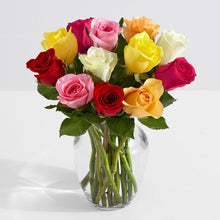 SAME DAY DELIVERY: FALL BURST - 24 ROSES