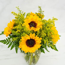 SAME DAY DELIVERY: SUNFLOWER SWEETNESS