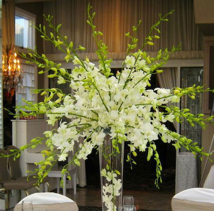 Wild - Centrepieces