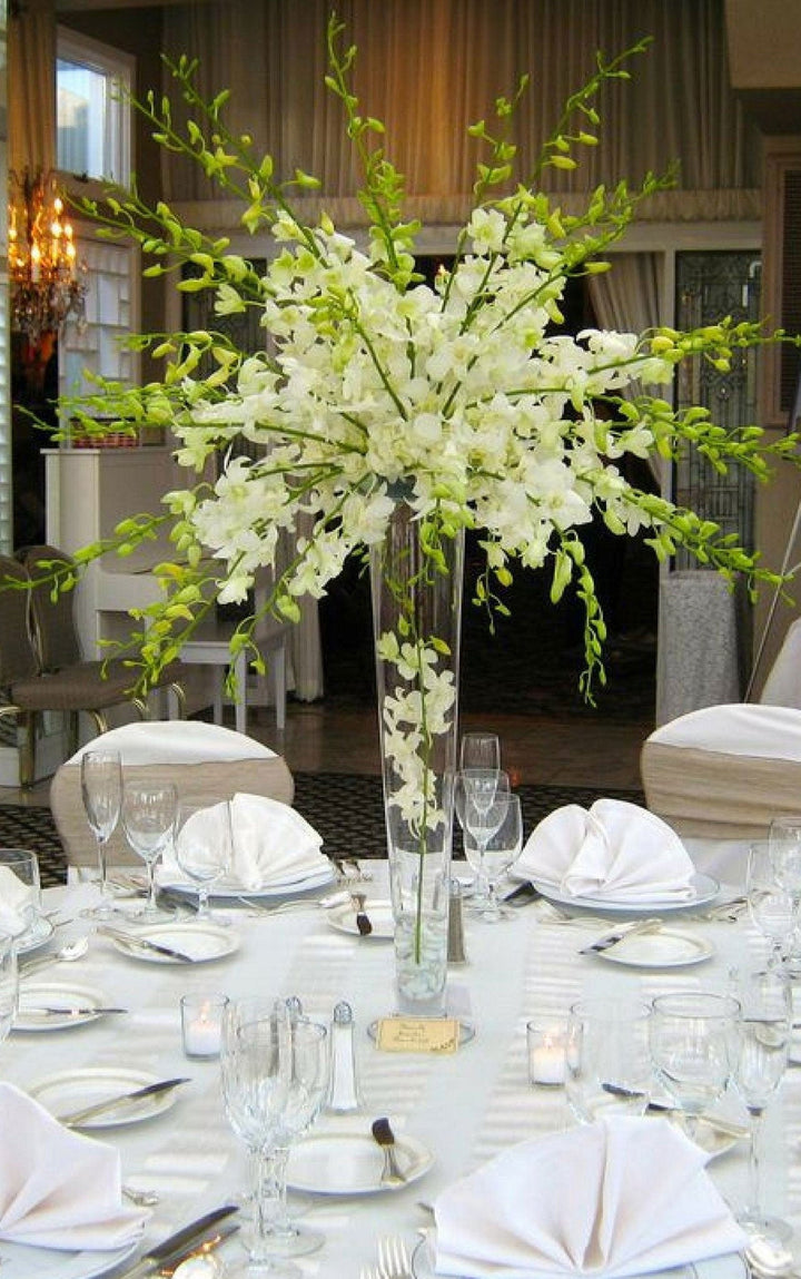 Wild - Centrepieces