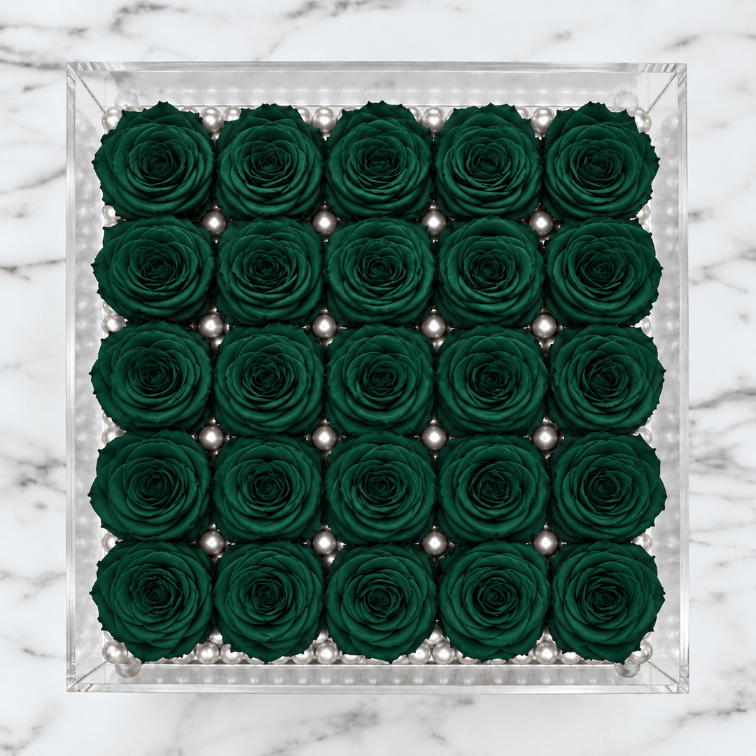 Front view of twenty-five hunter green everlasting roses in a clear box with decorative beads