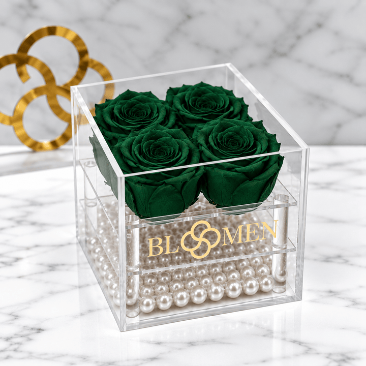 Four hunter green everlasting roses in a clear Bloomen box with pearl-like beads, angled view