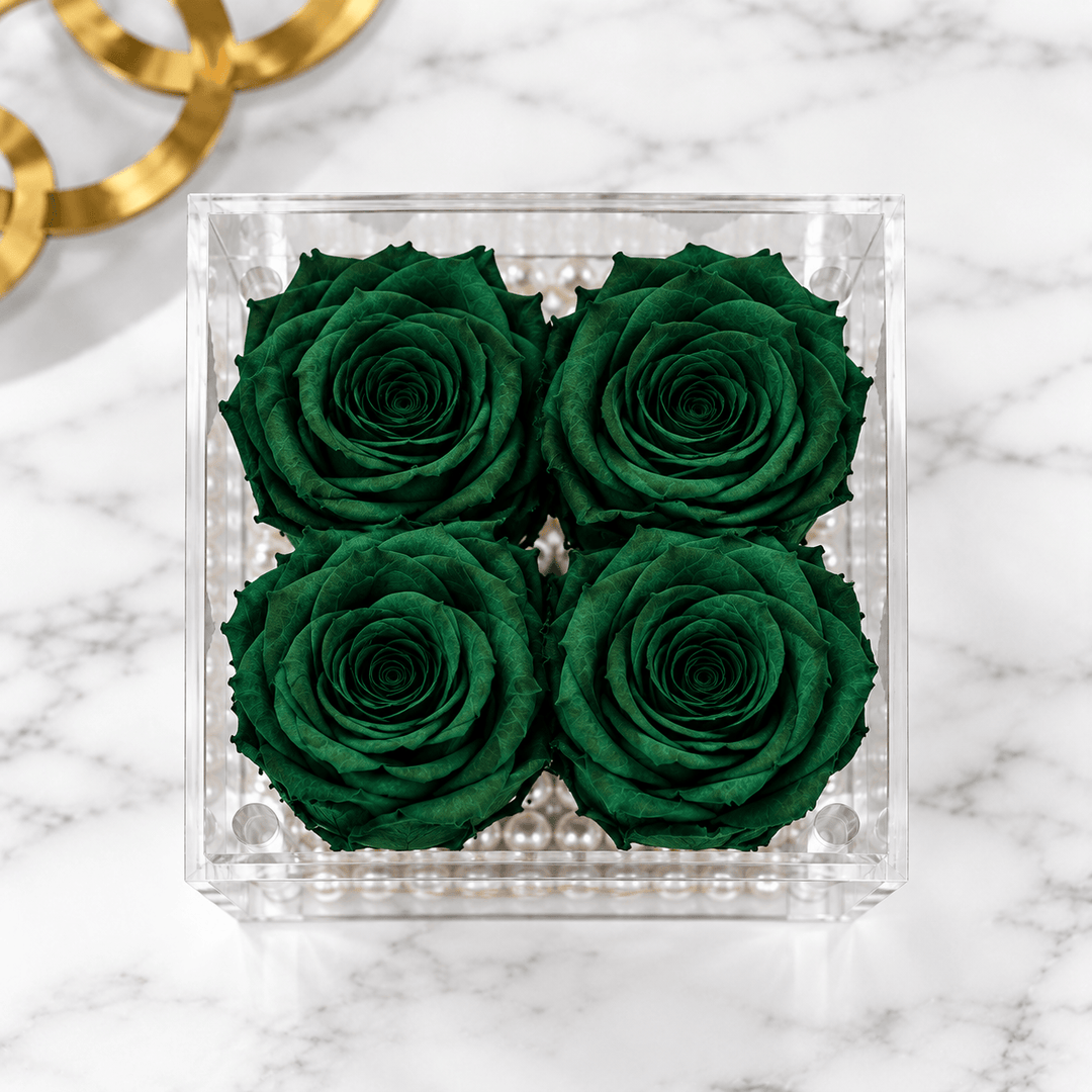 Front view of four hunter green everlasting roses in a clear Bloomen display box