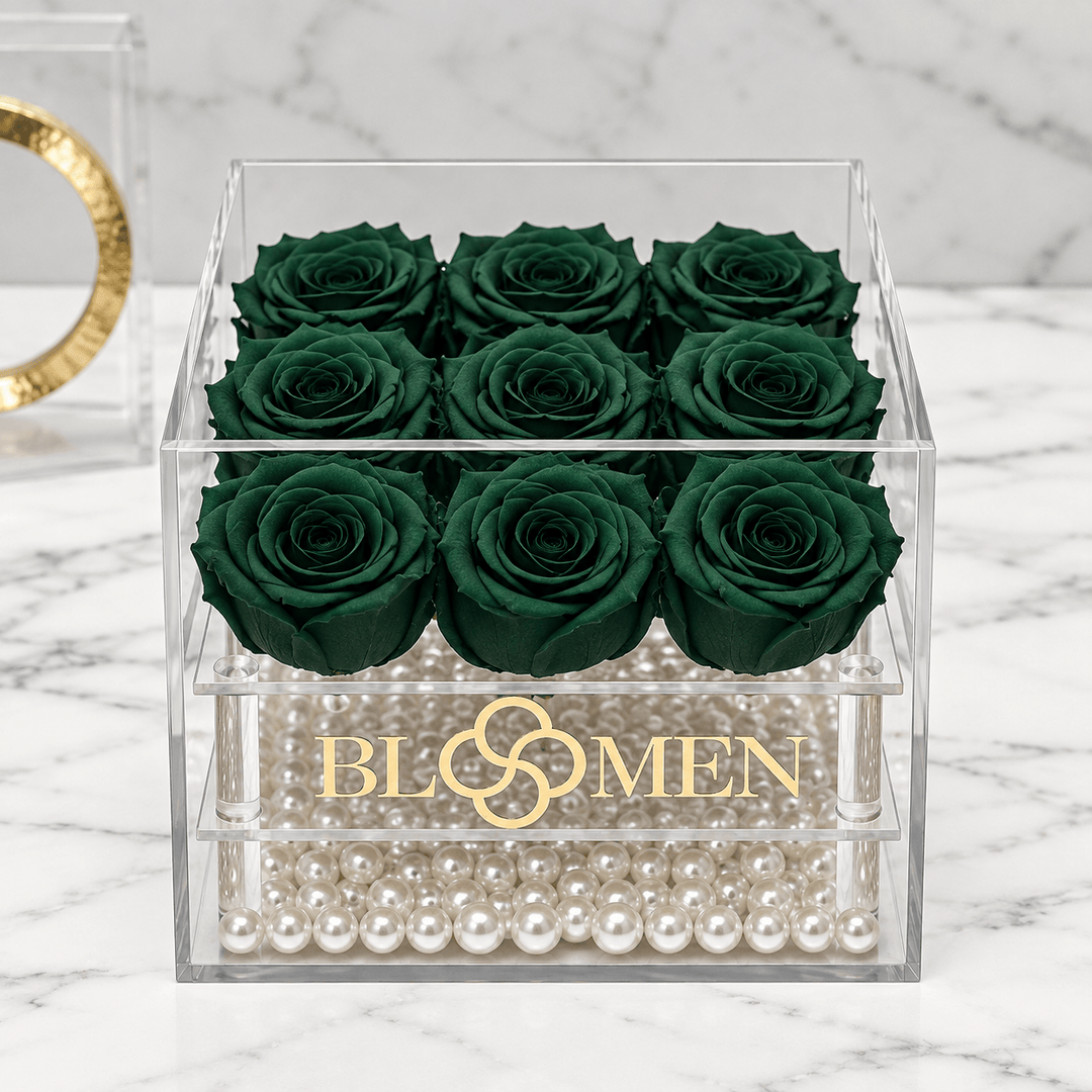 Front view of nine hunter green everlasting roses in a clear Bloomen display box