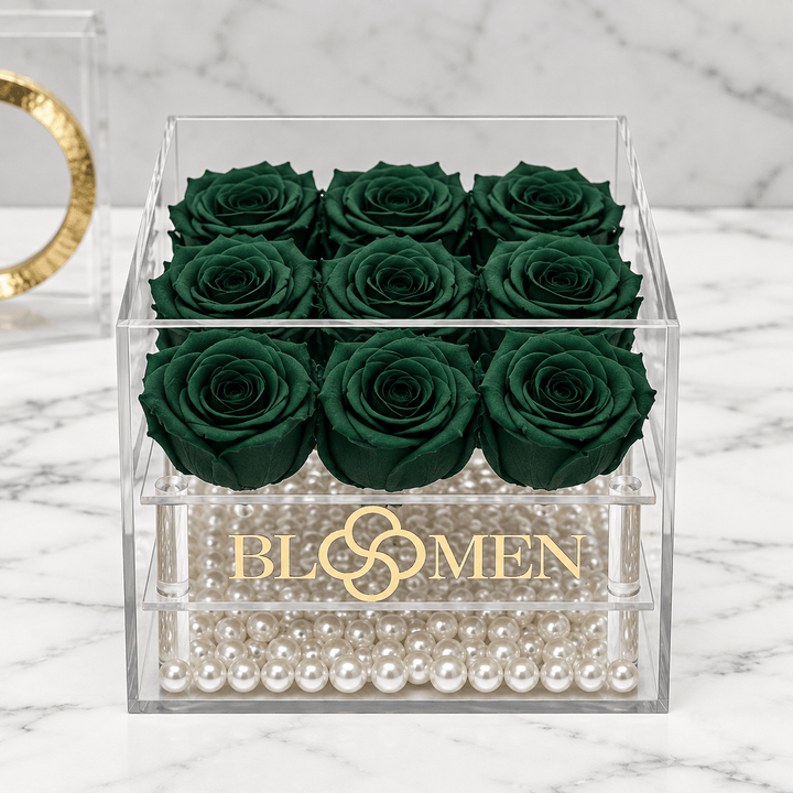 Front view of nine hunter green everlasting roses in a clear Bloomen display box