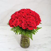 50 RED ROSES