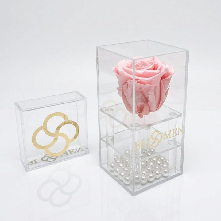 Everlasting Rose