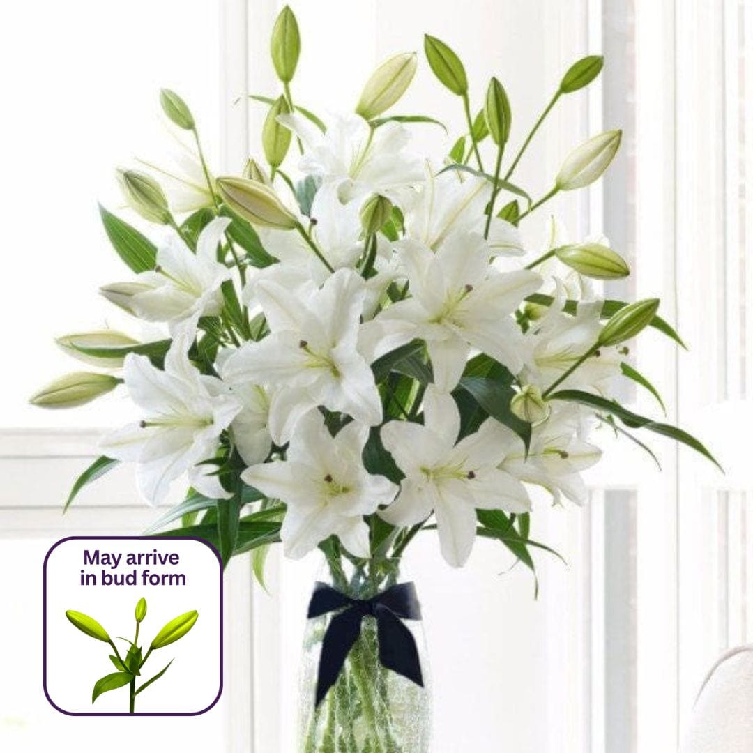 With_Lov.jpg?v=1749127542&width=1800