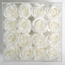 16 WHITE EVERLASTING ROSES