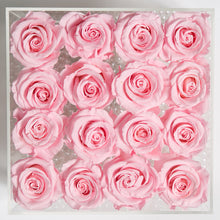 16 PINK EVERLASTING ROSES