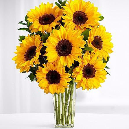 This stunning flower bouquet is ready to create a special moment for your recipient this season! Yellow sunflowers are bold and beautiful surrounded by green button poms and lush greens arranged beautifully. Toronto Online Flower Delivery Service for Luxury Roses providing free delivery in the greater Toronto area for Birthdays, Anniversary, New baby, Weddings, Mother’s Day and Valentines day