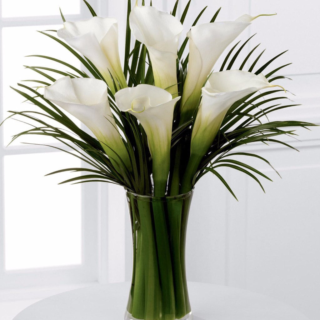 Simple and sophisticated, these exquisite full-sized white calla lilies are accented by lush palm leaves and hand tied by our professional designers to create a wonderful, heartfelt gesture. Toronto Online Flower Delivery Service for Luxury Roses providing free delivery in the greater Toronto area for Birthdays, Anniversary, New baby, Weddings, Mother’s Day and Valentines day